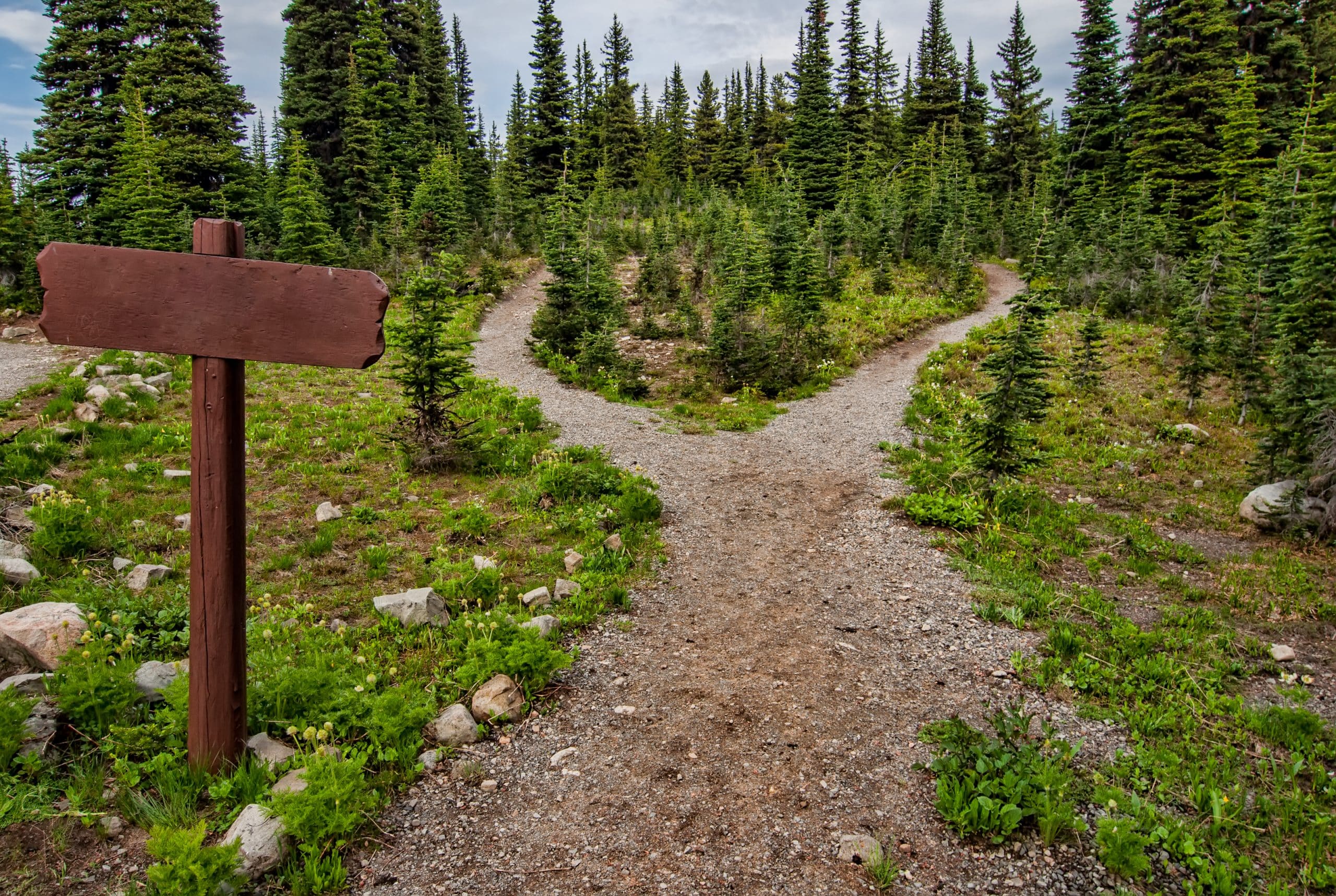 Top 7 Magic Mushroom Hikes